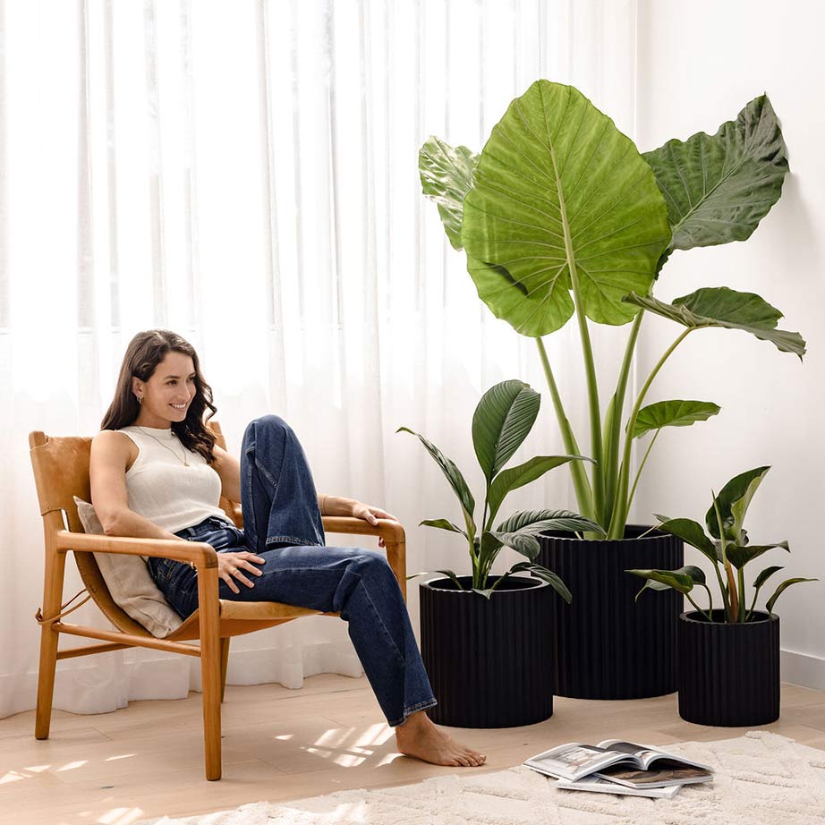 A happy plant enthusiast reclines beside three designer black ribbed textured pots with thriving green plants.