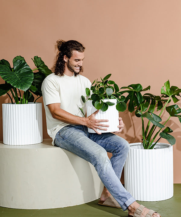 A happy indoor plant enthusiast admires green plants that are contained inside white ribbed textured pot planters..