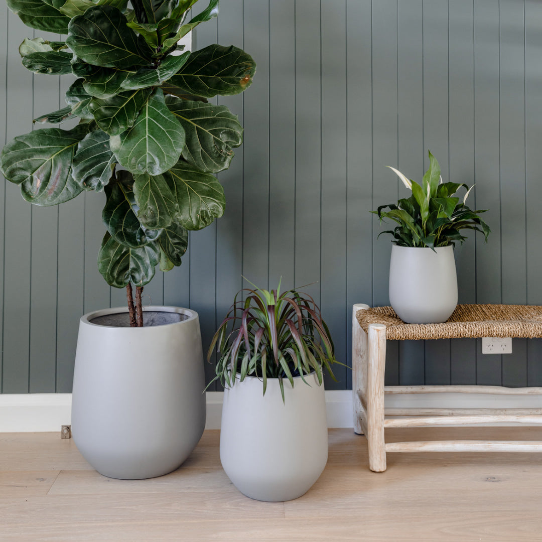 Three varying sized grey pots softly accentuate a dark grey wall and a rattan wooden bench seat.