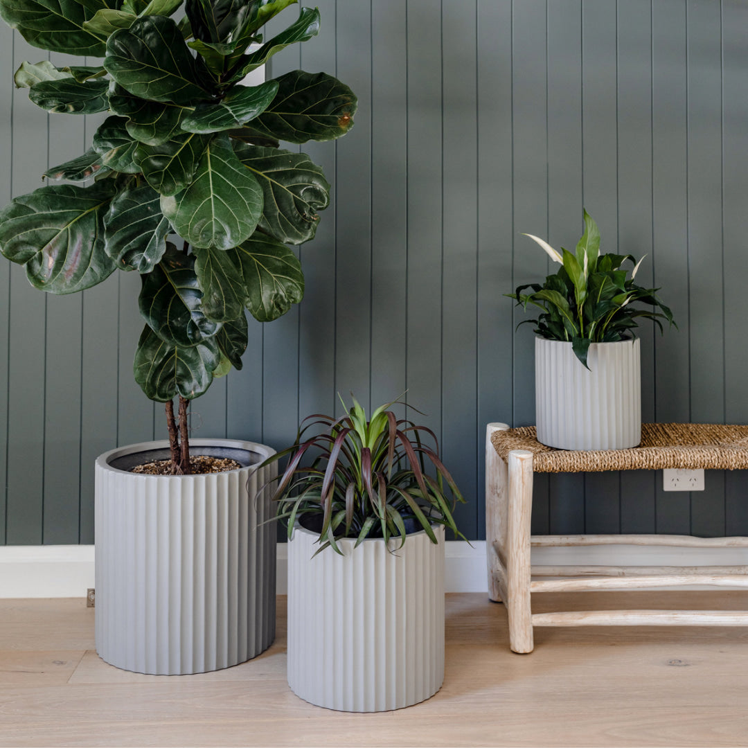 Mud Rosie Pots with a dark grey panelled wall and simplistic Scandinavian-inspired decor.