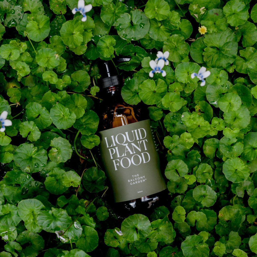 A bottle of Liquid Plant Food to be used in an outdoor garden bed.