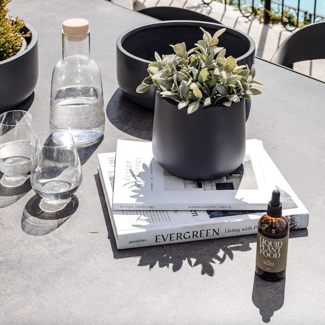 Various dark grey pot plants sit along side a glass bottle of Liquid Plant Food on an outdoor dining table.