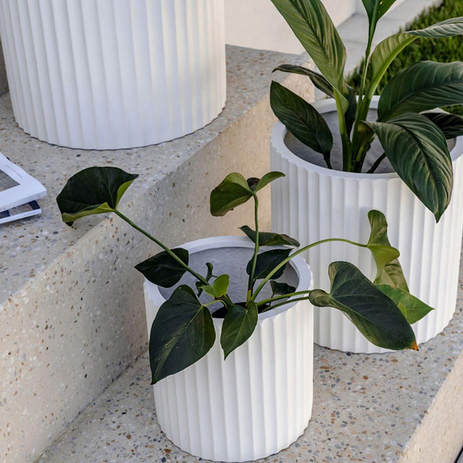 Contrasting white textured pot plants excites a dull brown, white and grey chip stone step.